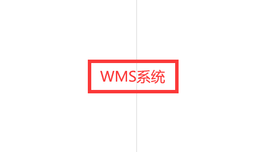 提升倉(cāng)儲(chǔ)效率，wms系統(tǒng)的價(jià)值所在